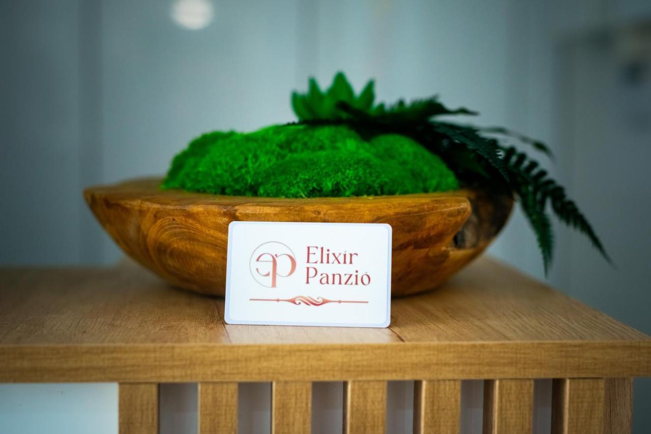 Elixir Panzio Bed & Breakfast Nyirbator Luaran gambar